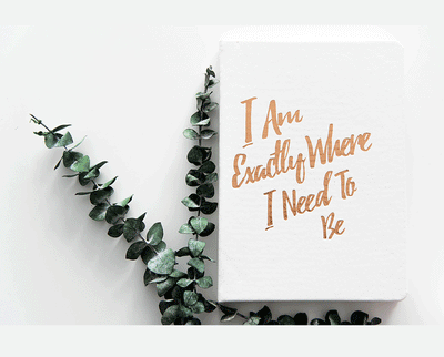 The Guided Gratitude Journal