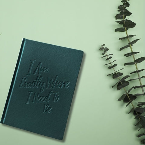 The Guided Gratitude Journal